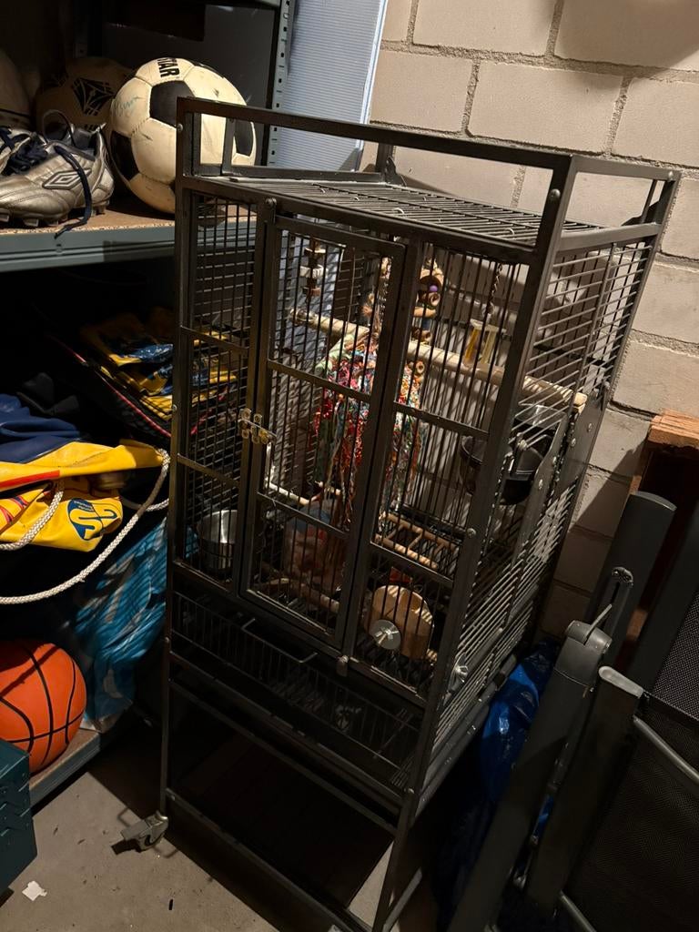 Vogelkooi te koop, Ophalen, Gebruikt, Metaal, Vogelkooi