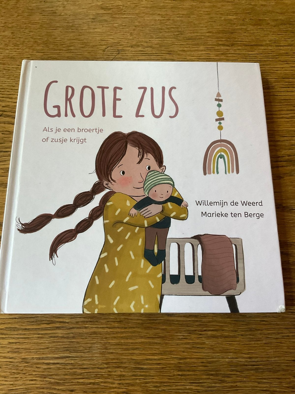 Willemijn de Weerd - Grote zus, Ophalen of Verzenden, Zo goed als nieuw, Willemijn de Weerd