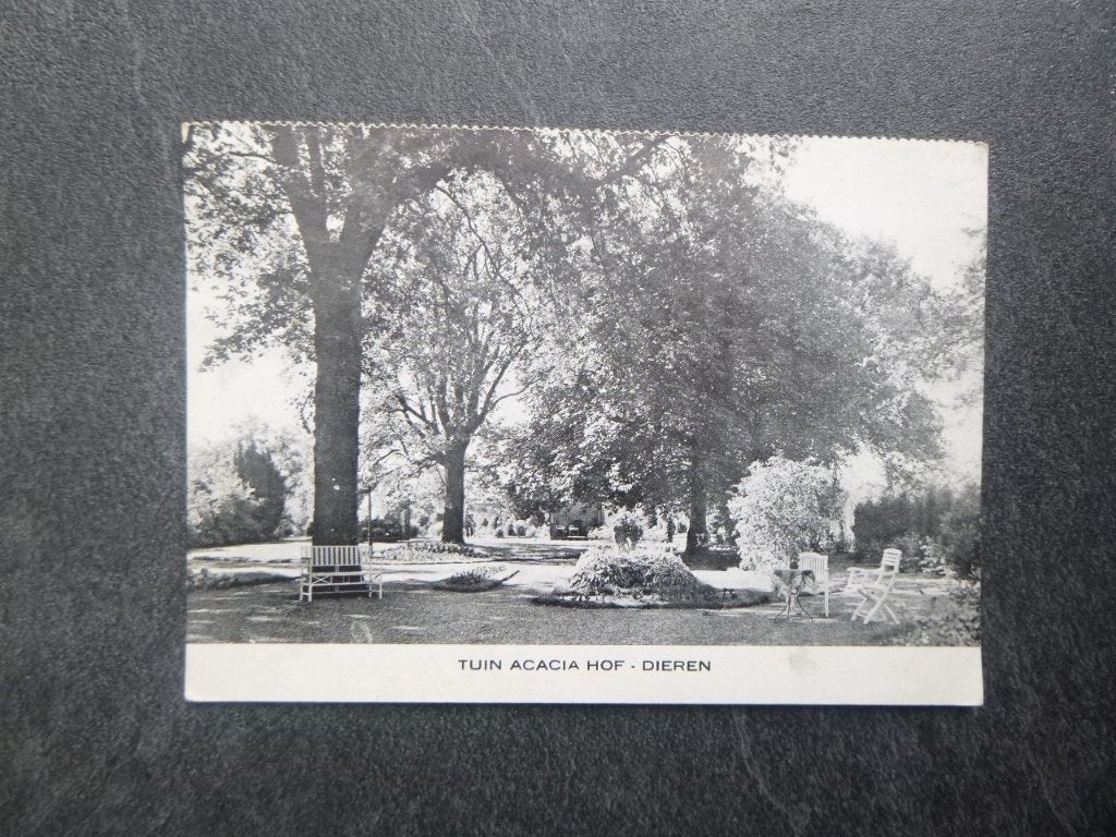 Dieren, tuin Acacia Hof 1951, Verzenden, 1940 tot 1960, Gelopen, Gelderland