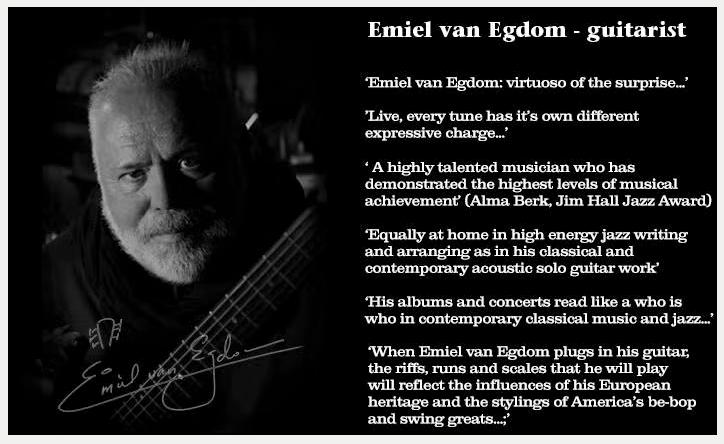 Muziek, gitaar, theorie, gehoortraining door vak docent, Ophalen of Verzenden, Nieuw