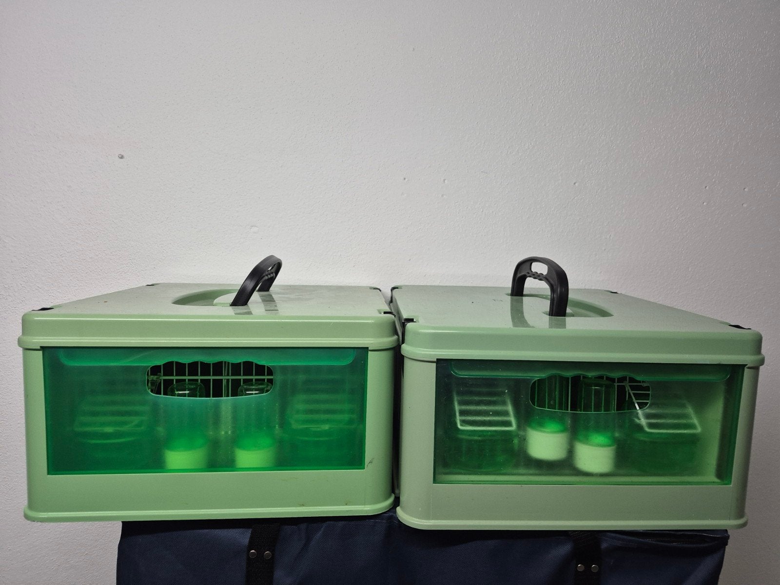 2 Transport kooien voor vogels, Dieren en Toebehoren, Ophalen, Zo goed als nieuw, Kunststof, Overige typen
