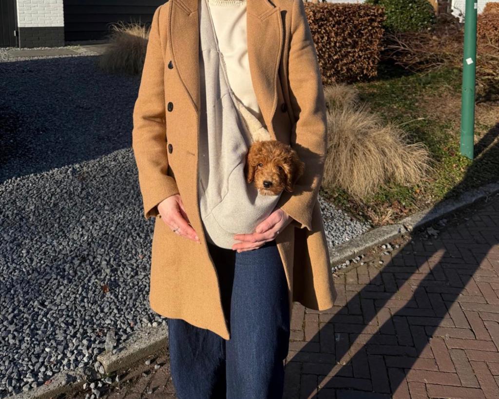Draagzak hond/ puppy, Dieren en Toebehoren, Honden-accessoires, Ophalen of Verzenden