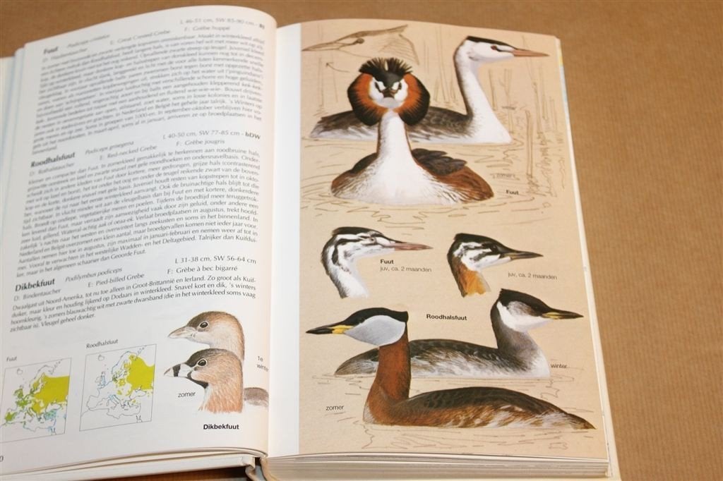 Vogels van Europa — Jonsson, 2700 Afb., Determineergids, Boeken, Ophalen of Verzenden, Gelezen, Vogels