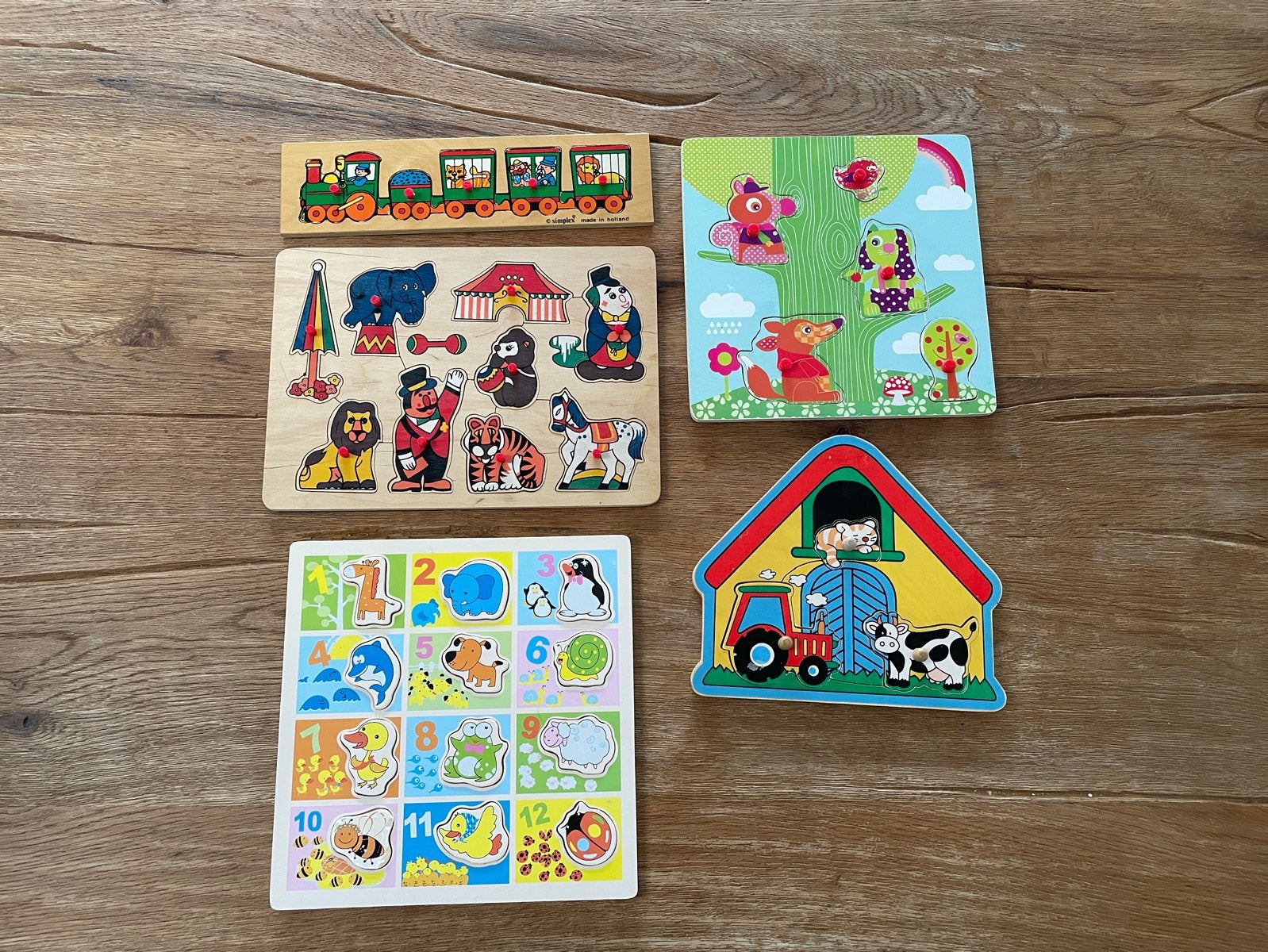 Houten Puzzels voor Kinderen 5 stuks, 2 tot 4 jaar, Gebruikt, Ophalen of Verzenden, Van hout