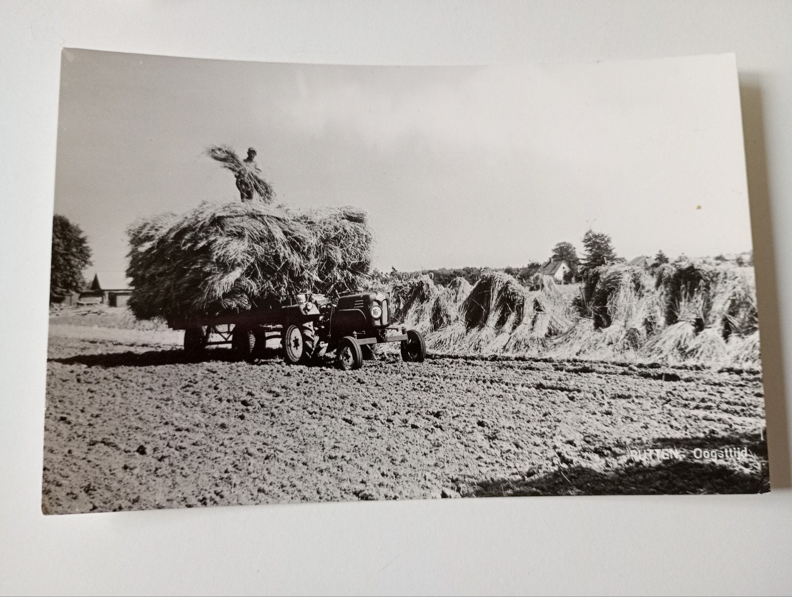 Putten Boerenleven Oogsttijd, Ophalen of Verzenden, 1940 tot 1960, Gelopen, Gelderland