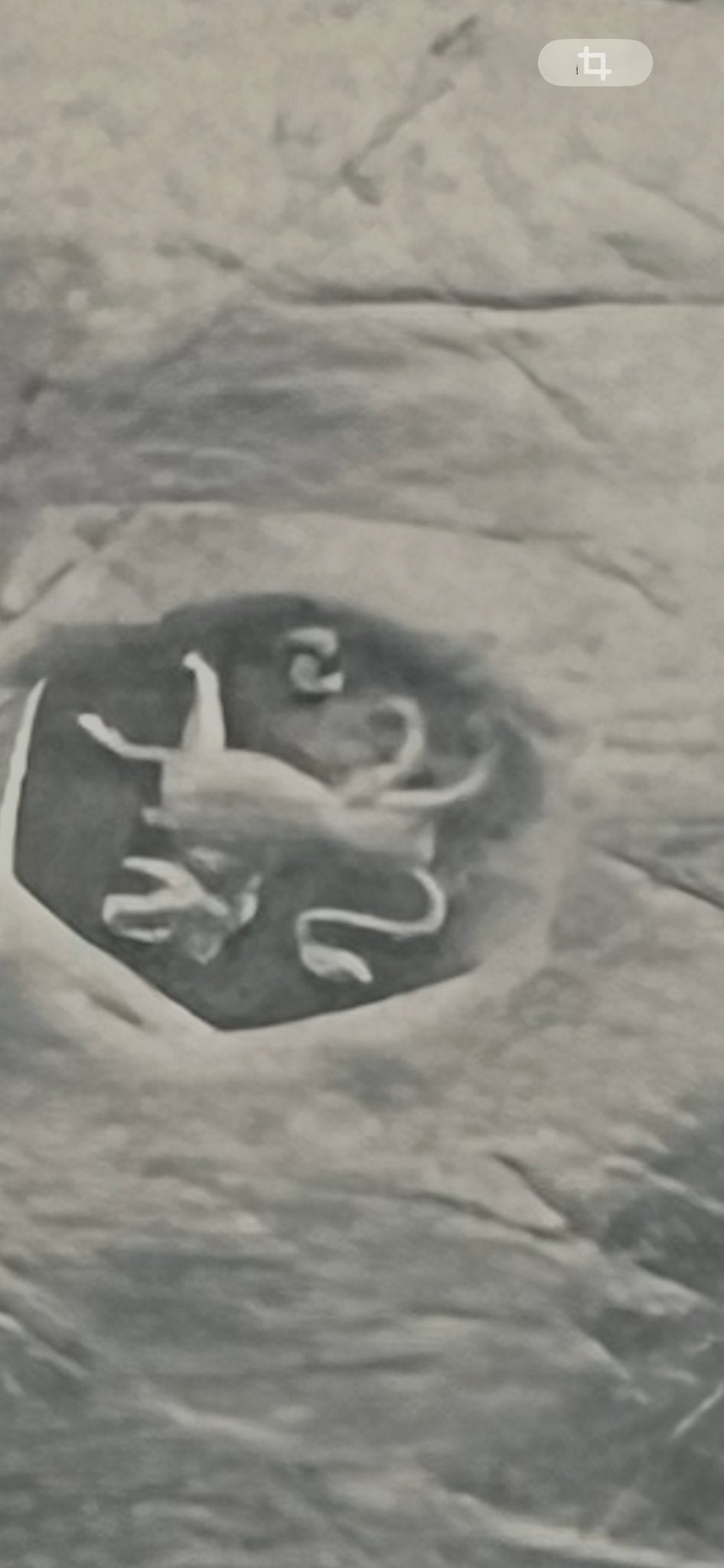 Antiek Zilveren Theeservies met Gedetailleerde Scènes, Antiek en Kunst, Ophalen of Verzenden, Zilver
