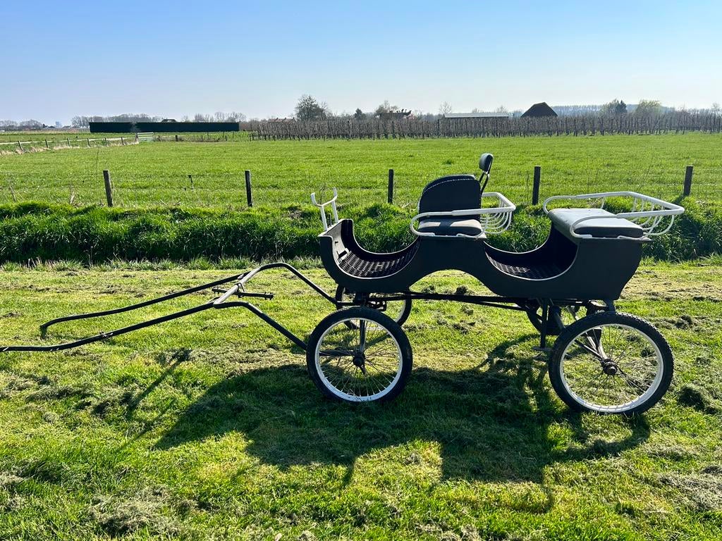Te koop: pony menwagen, Dieren en Toebehoren, Ophalen, Gebruikt, Overige soorten