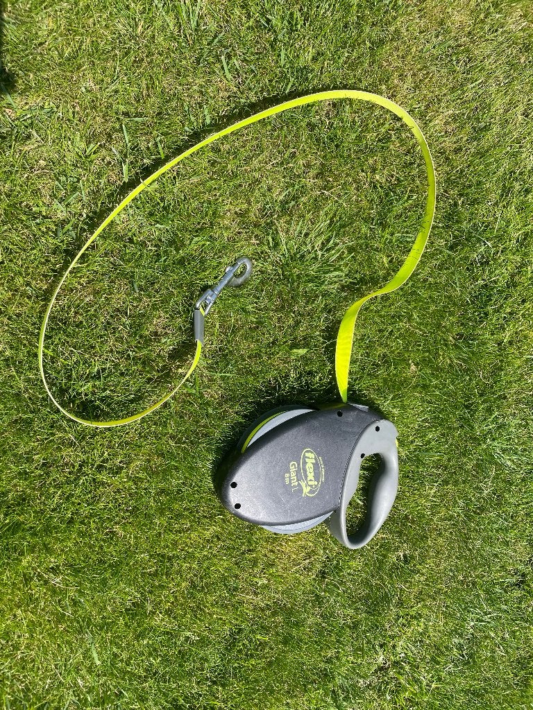 Hondenriem (band- rollijn- 8 meter), Ophalen, Zo goed als nieuw, Hondenriem