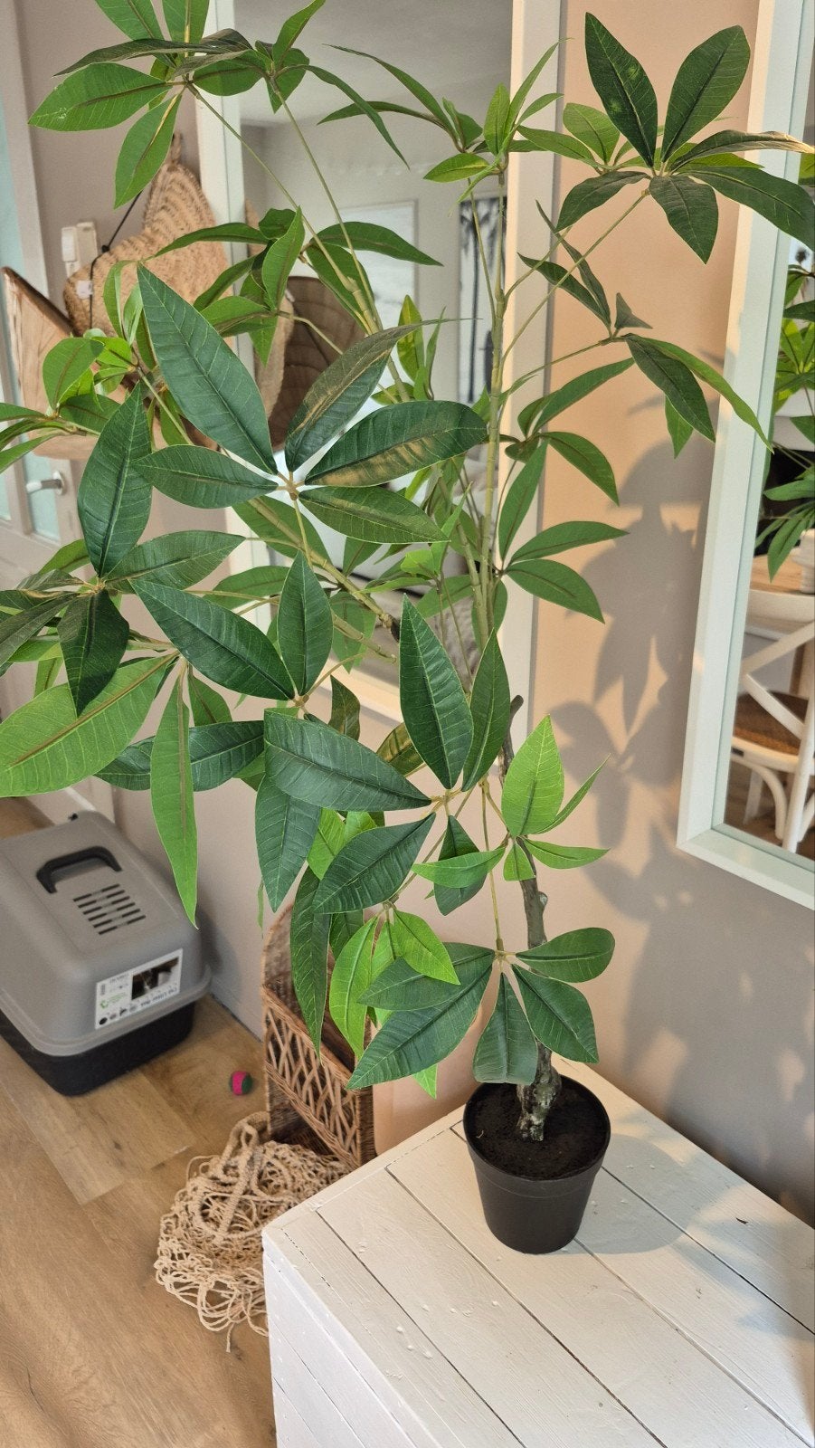 Kunstplant - Vaste prijs - Alleen ophalen, Huis en Inrichting, Woonaccessoires | Kunstplanten en Kunstbloemen, Ophalen, Binnen