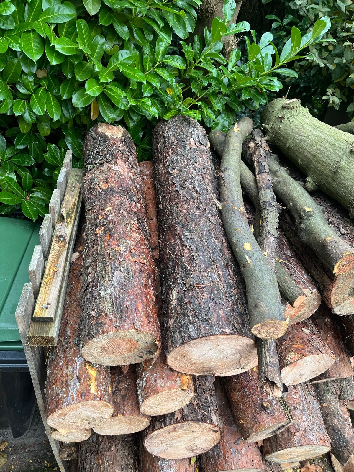 Grote boomstammen voor haardhout, Minder dan 3 m³, Ophalen of Verzenden, Overige houtsoorten, Stammen