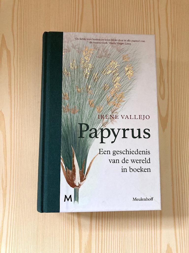 Irene Vallejo - Papyrus (Harde kaft), Ophalen, 14e eeuw of eerder, Irene Vallejo, Europa