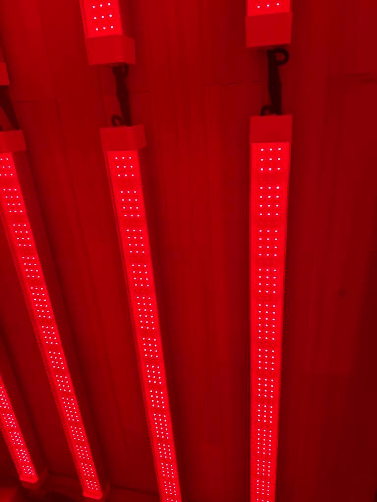 Rood Licht Therapie Lampen (36 stuks) -, Ophalen of Verzenden, Zo goed als nieuw
