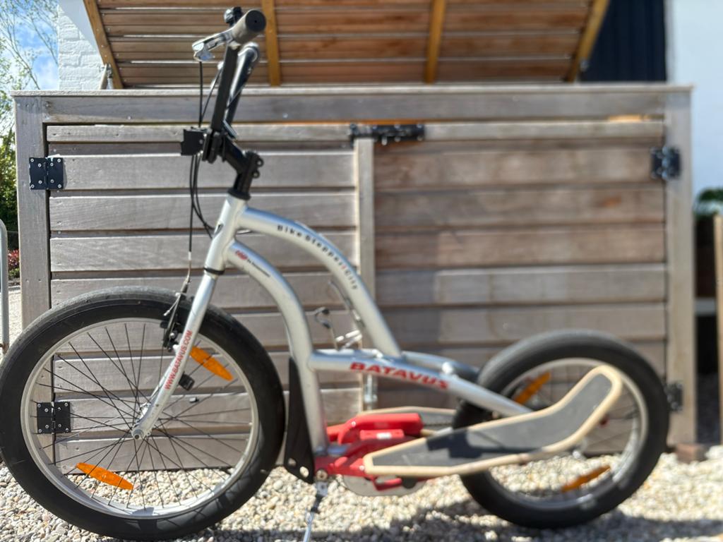 Batavus Bike Stepper City Stepfiets, Fietsen en Brommers, Ophalen, Gebruikt, Overige typen