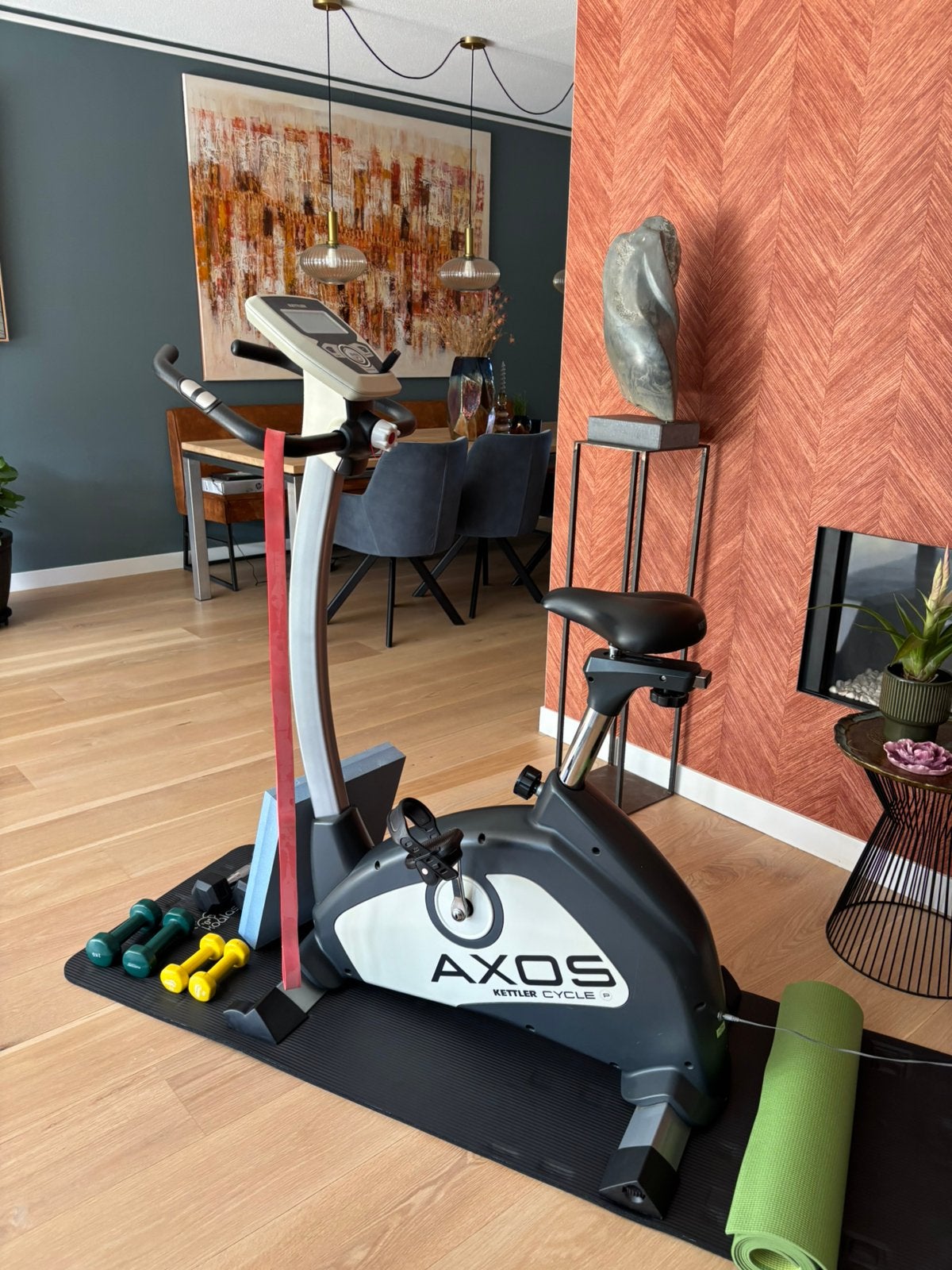 Home trainer fiets, Ophalen, Gebruikt, Hometrainer