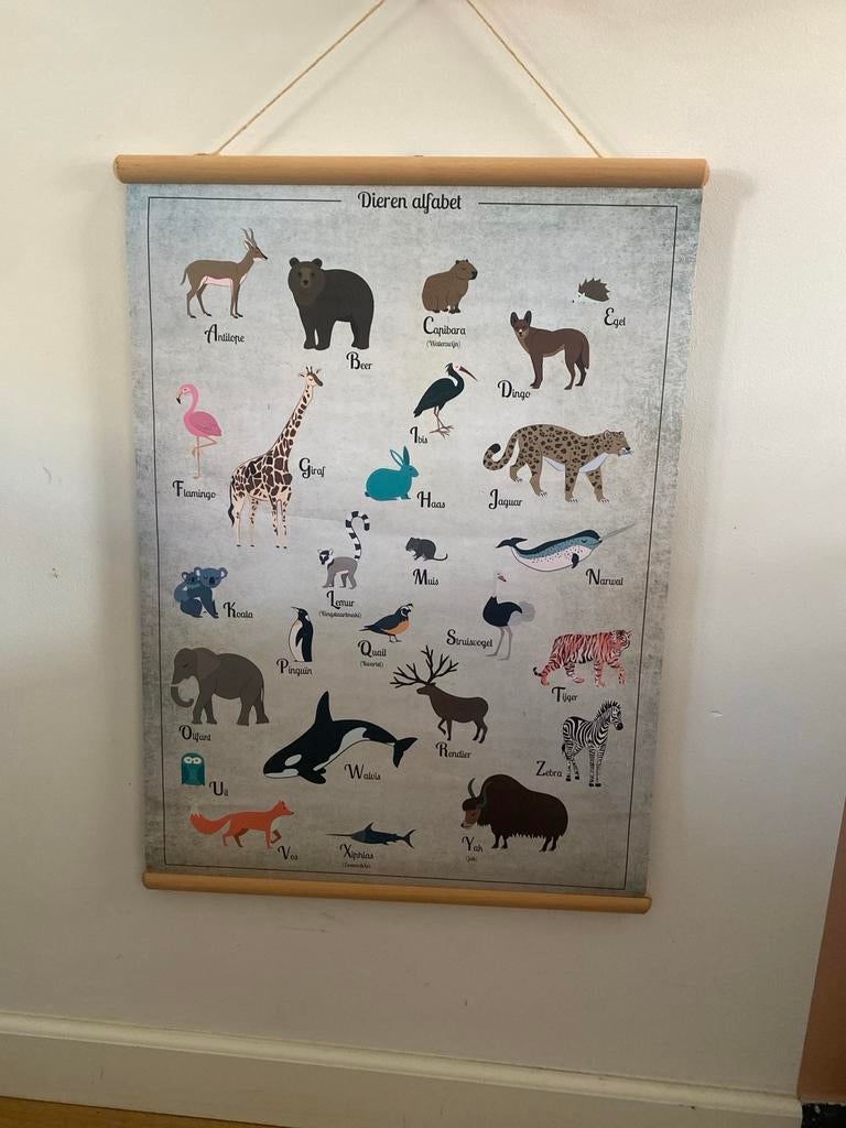 Dieren Alfabet Poster & Schrijfletters Poster Oprolbaar, Ophalen of Verzenden, Zo goed als nieuw