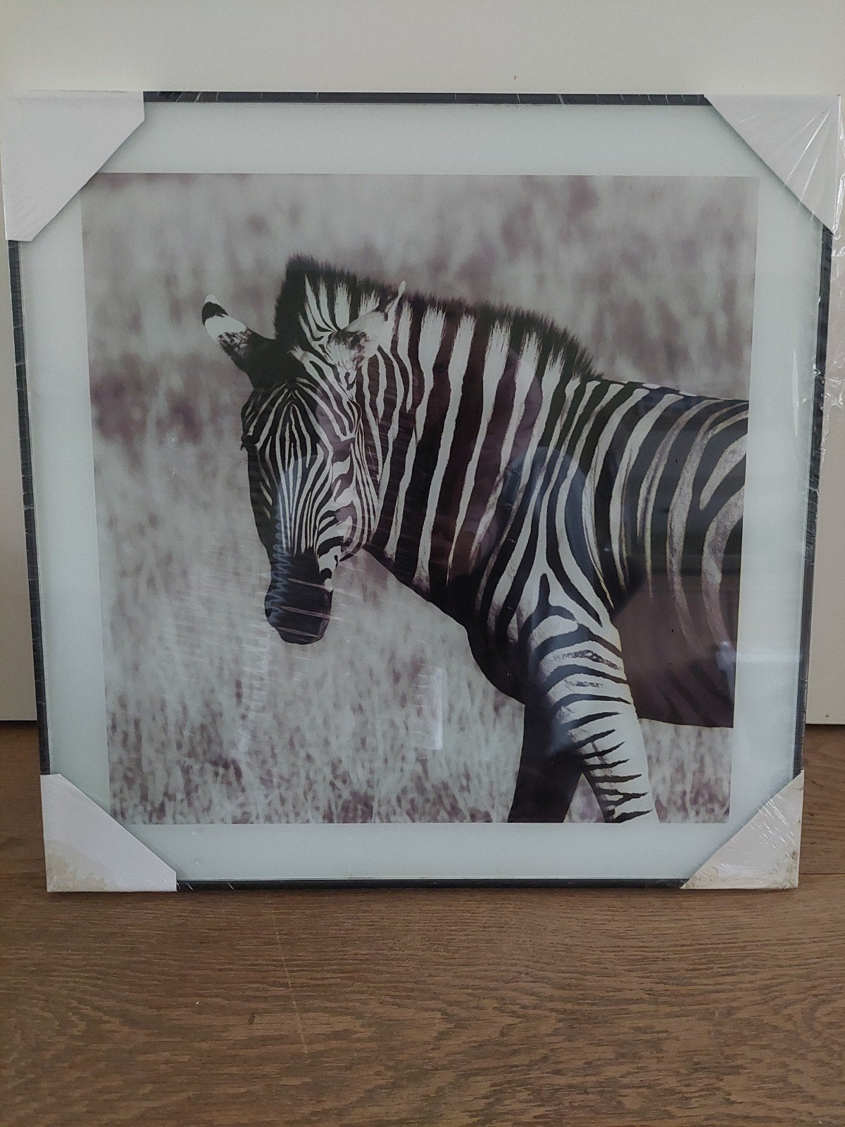 Zebra schilderij in lijst - Nieuw, 50 – 75, Nieuw, Ophalen of Verzenden, Schilderij