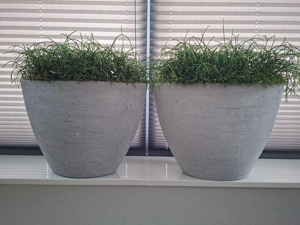 Twee grijze ovale bloempotten met planten, Ophalen, Zo goed als nieuw, Overige vormen, Aardewerk
