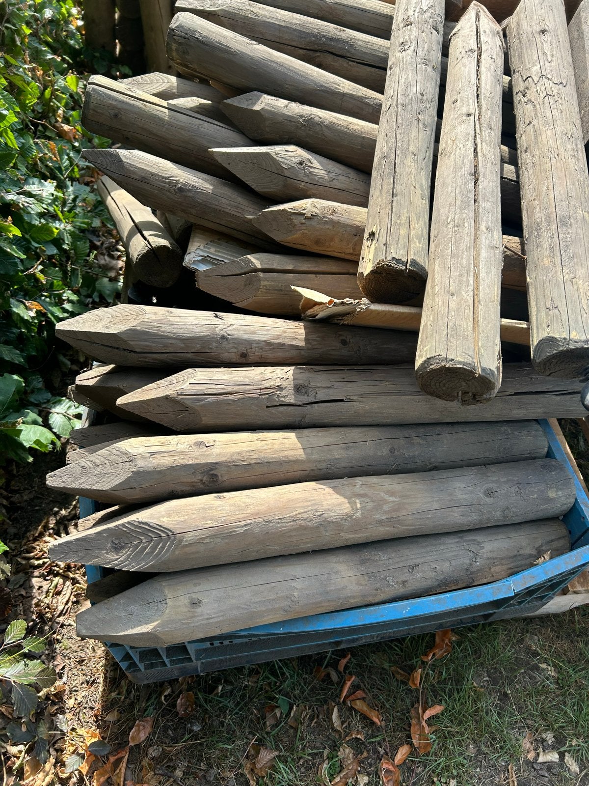 60 Geïmpregneerde tuinpaaltjes 60 cm lang en 8 dik, Ophalen, Gebruikt, Minder dan 180 cm, Palen