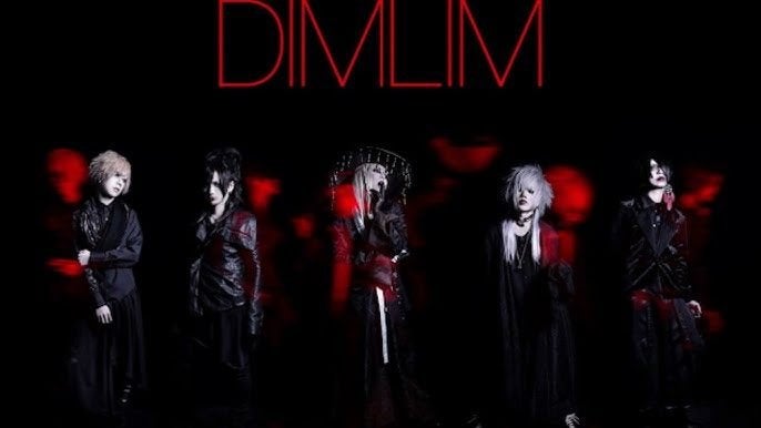 dimlim (japans) muziek cd's te koop., Ophalen, Zo goed als nieuw