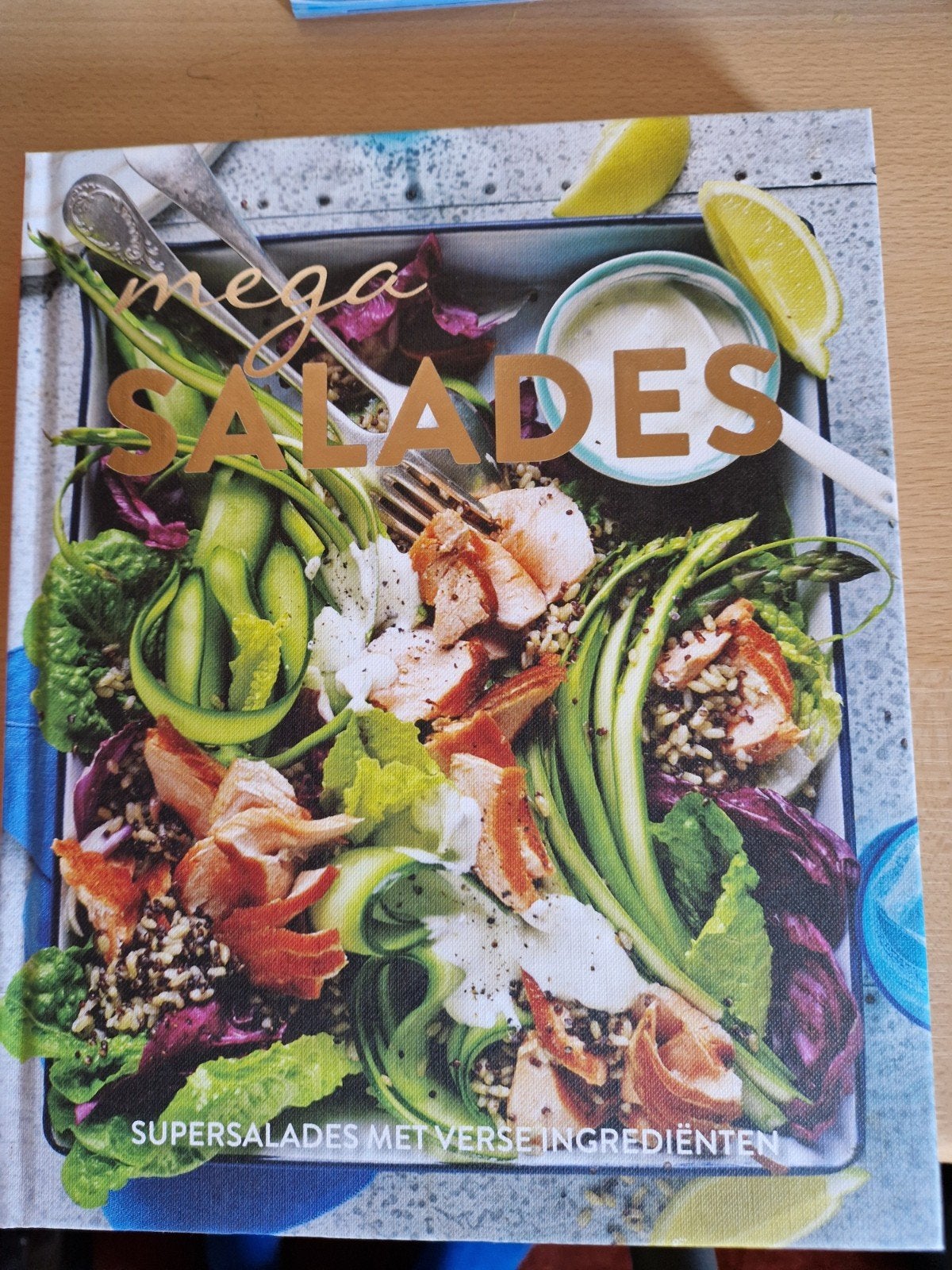 Mega Salades: Supersalades met verse ingrediënten, Onbekend, Voorgerechten en Soepen, Gezond koken, Ophalen of Verzenden