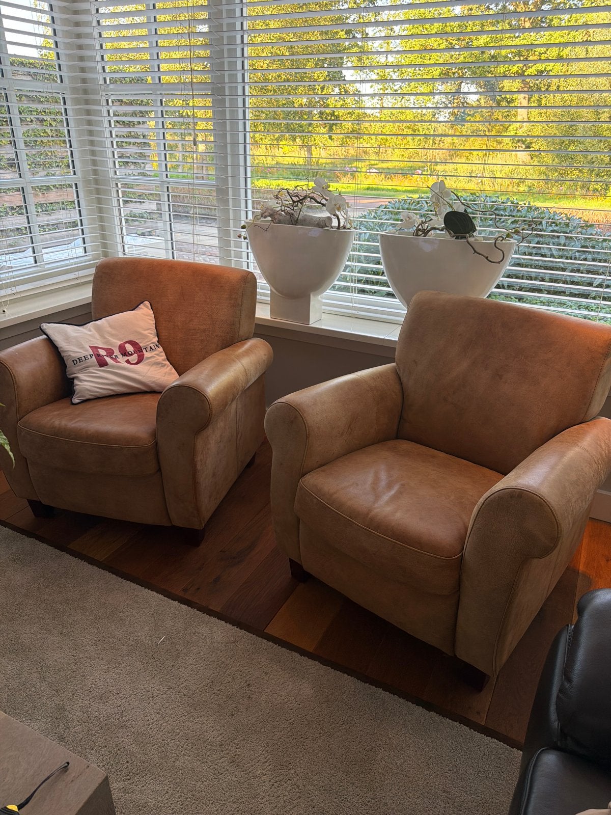 Twee comfortabele leren fauteuils, Ophalen, Gebruikt, Twee, Bruin