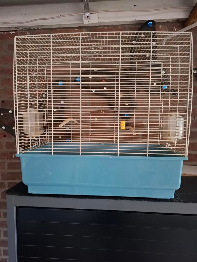 Vogelkooi!, Dieren en Toebehoren, Ophalen, Zo goed als nieuw, Metaal, Vogelkooi