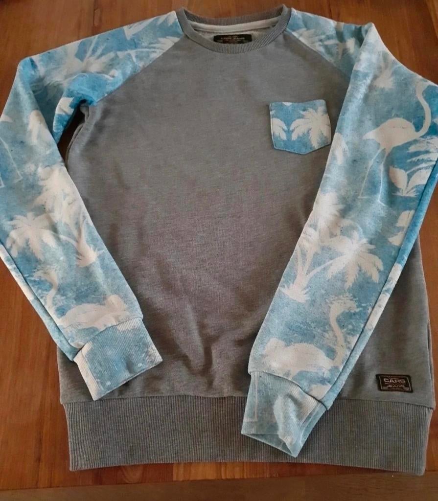 Cars sweater., Gebruikt, Trui of Vest, Ophalen of Verzenden, Jongen