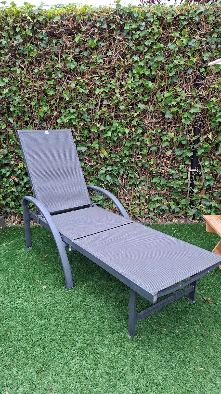 Ligstoel strandstoel loungestoel tuinstoel ligbed Royal Pati, Ophalen
