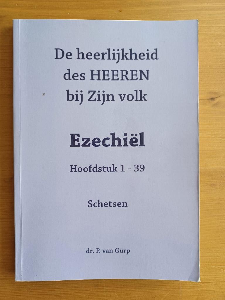De heerlijkheid des HEEREN bij zijn volk - Ezechiël 1-39, Boeken, Gelezen, Dr. P. van Gurp, Christendom | Protestants, Ophalen of Verzenden