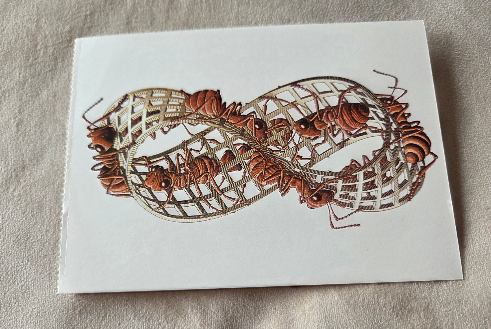 M.C. Escher Ansichtkaart: Moebius band II, 1963, Verzenden, 1960 tot 1980, Ongelopen, Overige thema's