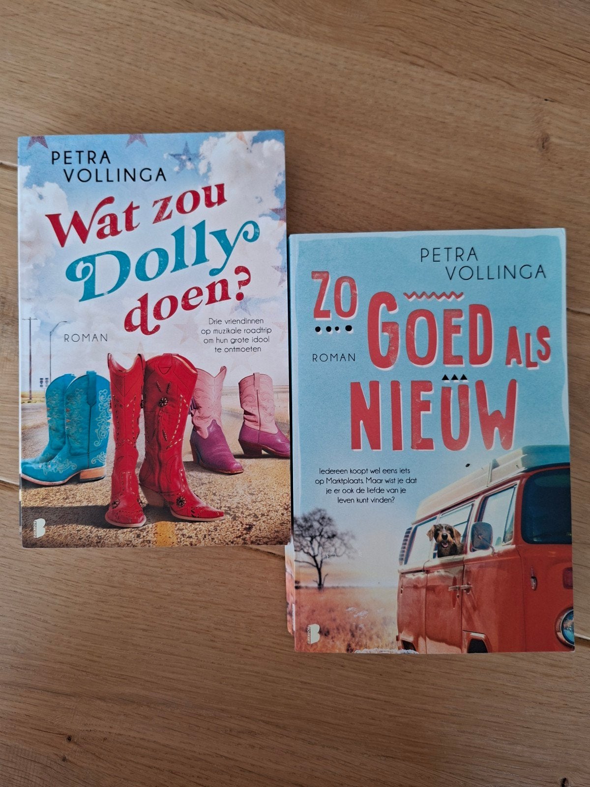 2 romans Petra Vollinga Wat zou Dolly doen&Zo goed als nieuw, Boeken, Ophalen of Verzenden, Zo goed als nieuw, Petra Vollinga