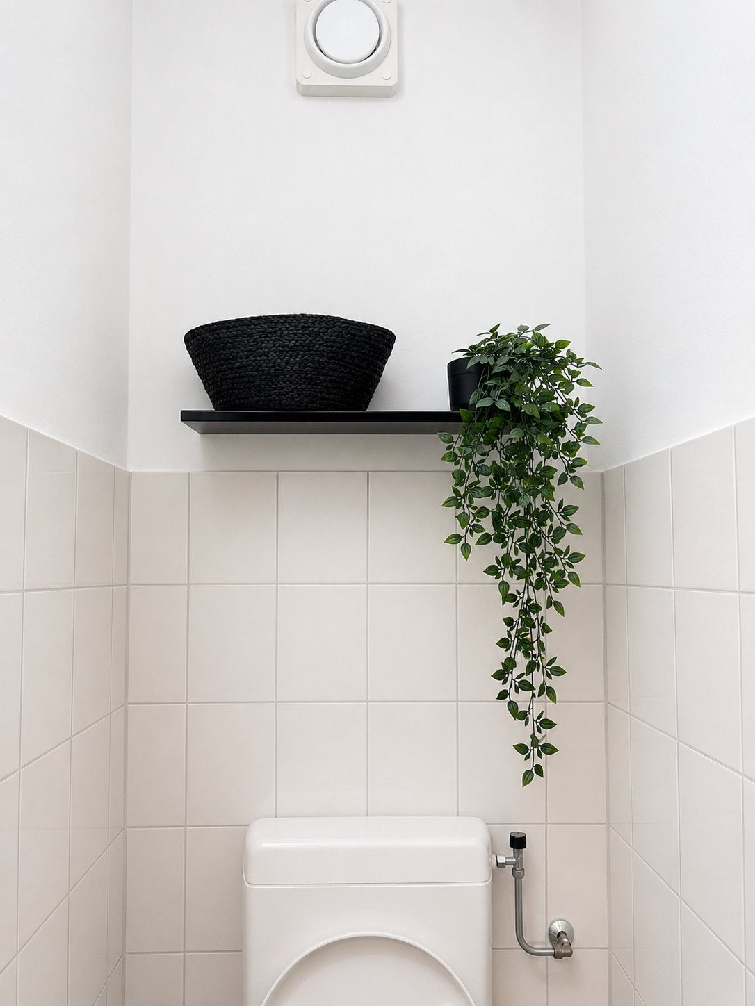 Plank met mandje en ikea plant, Ophalen of Verzenden, Zo goed als nieuw