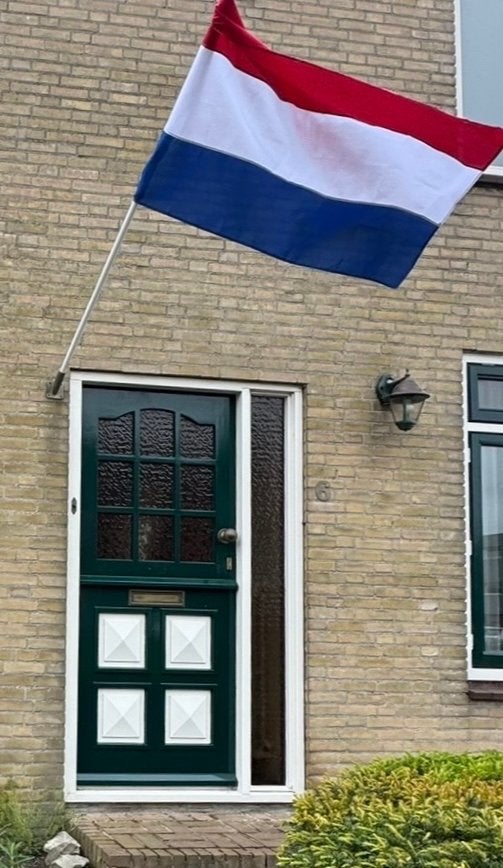 Voordeur met glas en zijpaneel - Groen/Wit, Ophalen, Gebruikt, 80 tot 100 cm, Buitendeur