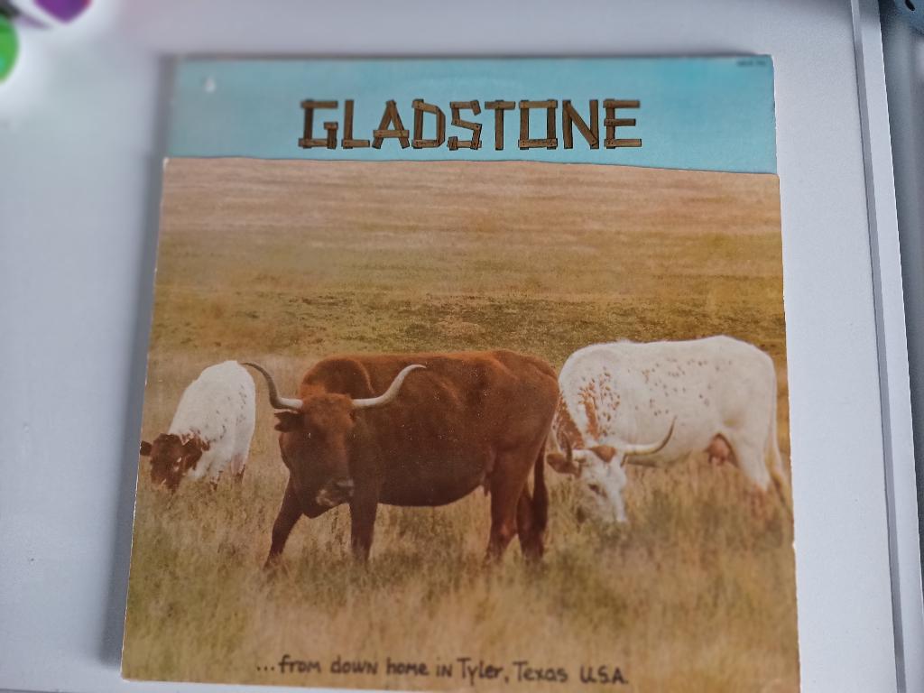 GLADSTONE-FROM DOWN HOME TYLER TEXAS/1973, Ophalen of Verzenden, Zo goed als nieuw, 12 inch
