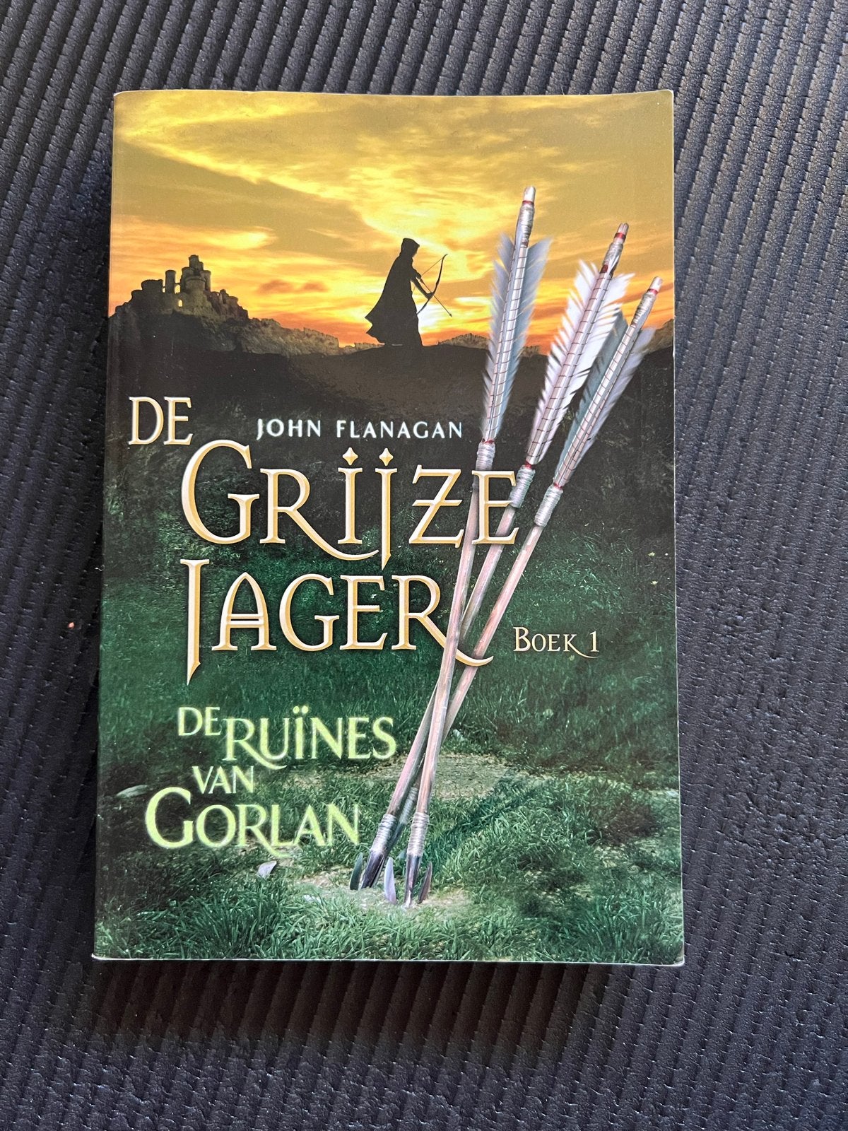 De Grijze Jager Boek 1: De Ruïnes van Gorlan, Boeken, Ophalen of Verzenden, Gelezen