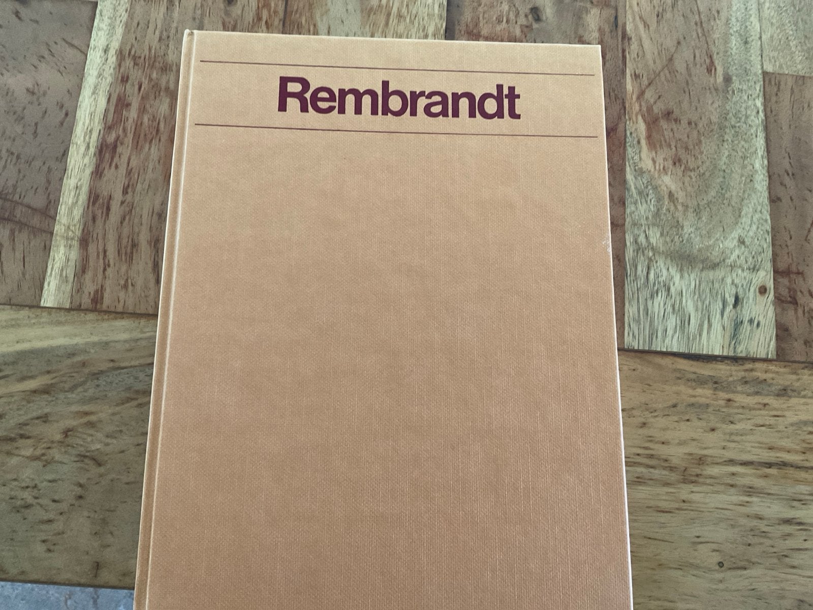 Rembrandt: Een Overzicht van zijn Leven en Werk, Ophalen of Verzenden, Gelezen, Schilder- en Tekenkunst
