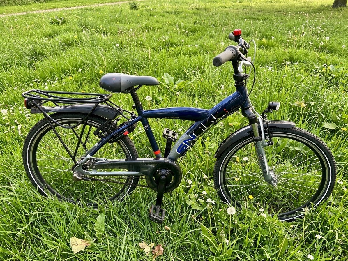 Batavus snake 24 inch, Ophalen, 24 inch, Versnellingen
