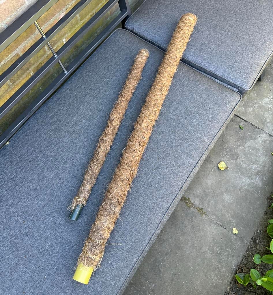 Kokospalen - mospaal support klimpaal monstera philodendron, Ophalen, Gebruikt, Minder dan 180 cm, Palen