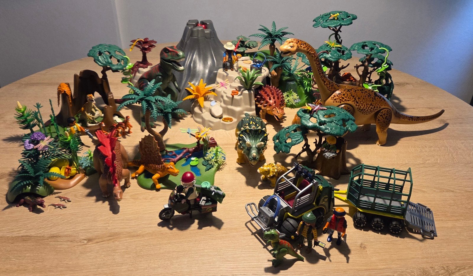 playmobil vulkaan met dinosaurus en heel veel extra sets, Ophalen, Complete set, Overige typen, Zo goed als nieuw