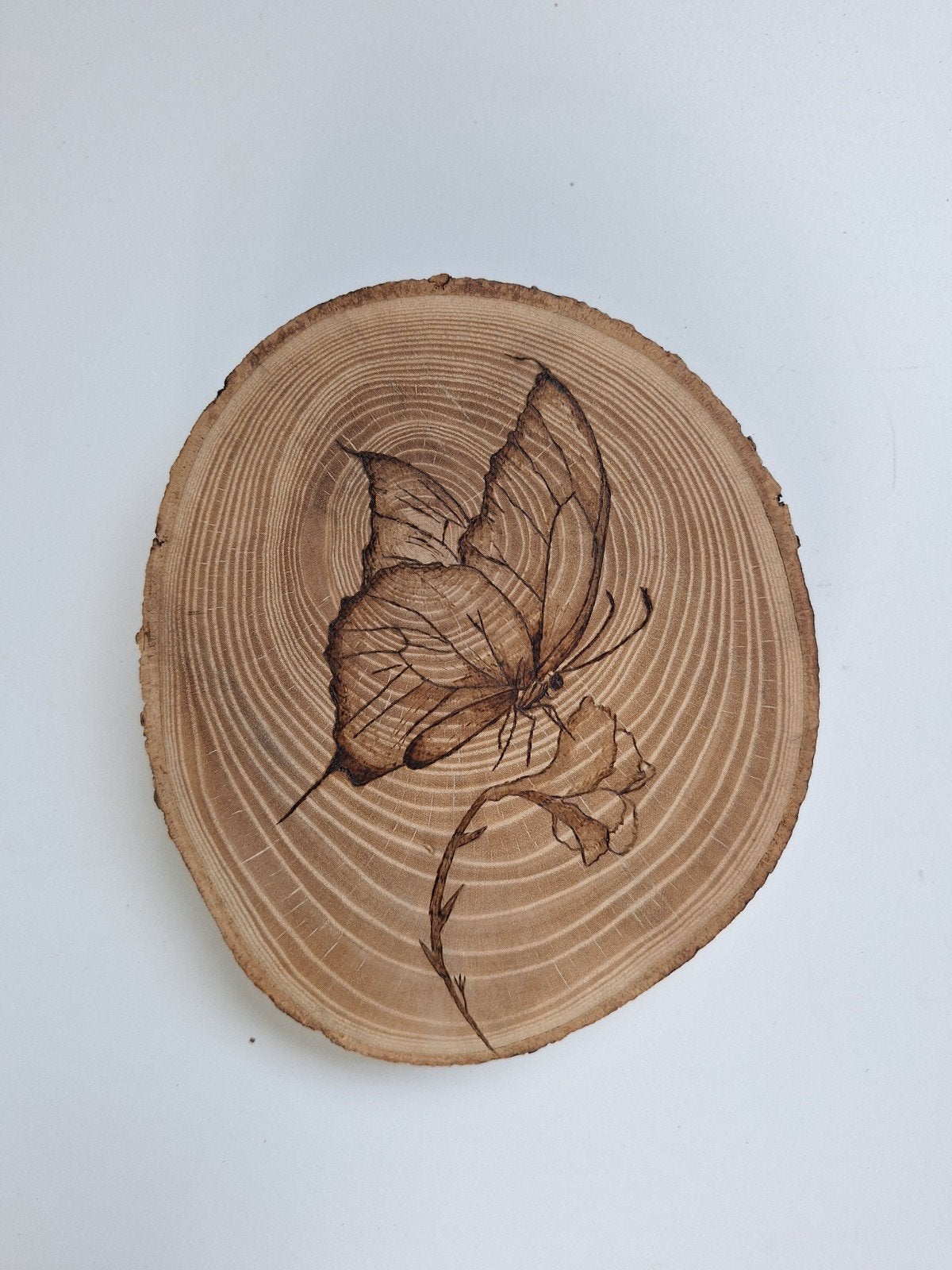 Vlinder op boomplak.
Met haakje om op de handen aan muur., Huis en Inrichting, Gevondenengemaakt@gmail.com, Hout, Ophalen of Verzenden