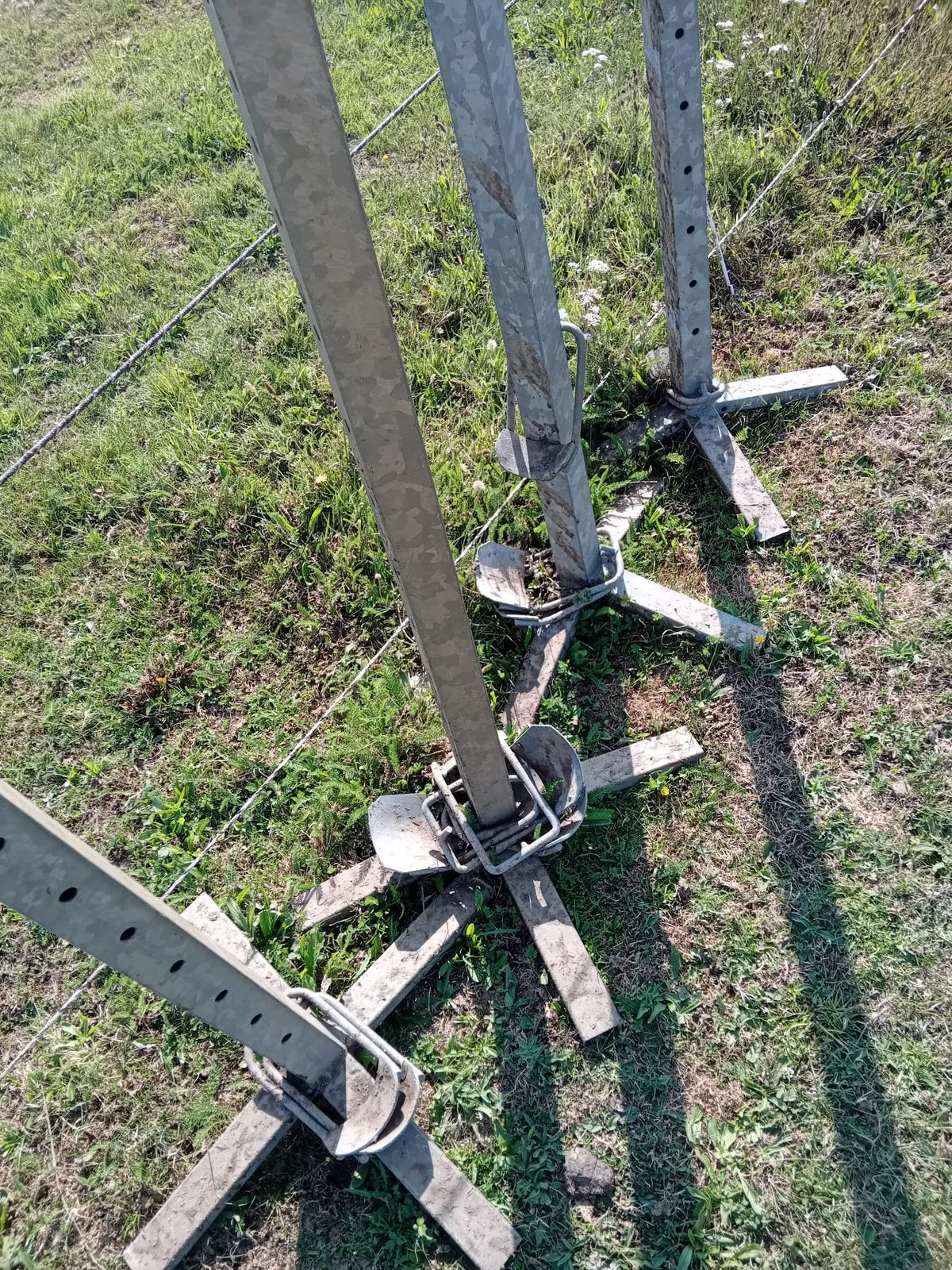 Mooie staanders tekoop, Dieren en Toebehoren, Ophalen, Zo goed als nieuw, Springen
