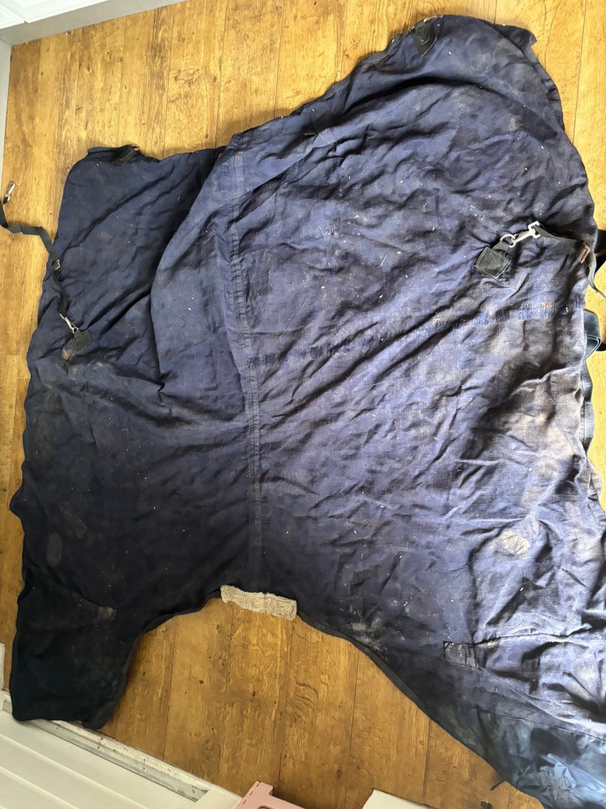 Deken paard maat 195, Dieren en Toebehoren, Paarden en Pony's | Dekens en Dekjes, Gebruikt, Blauw, Deken, Full (L)