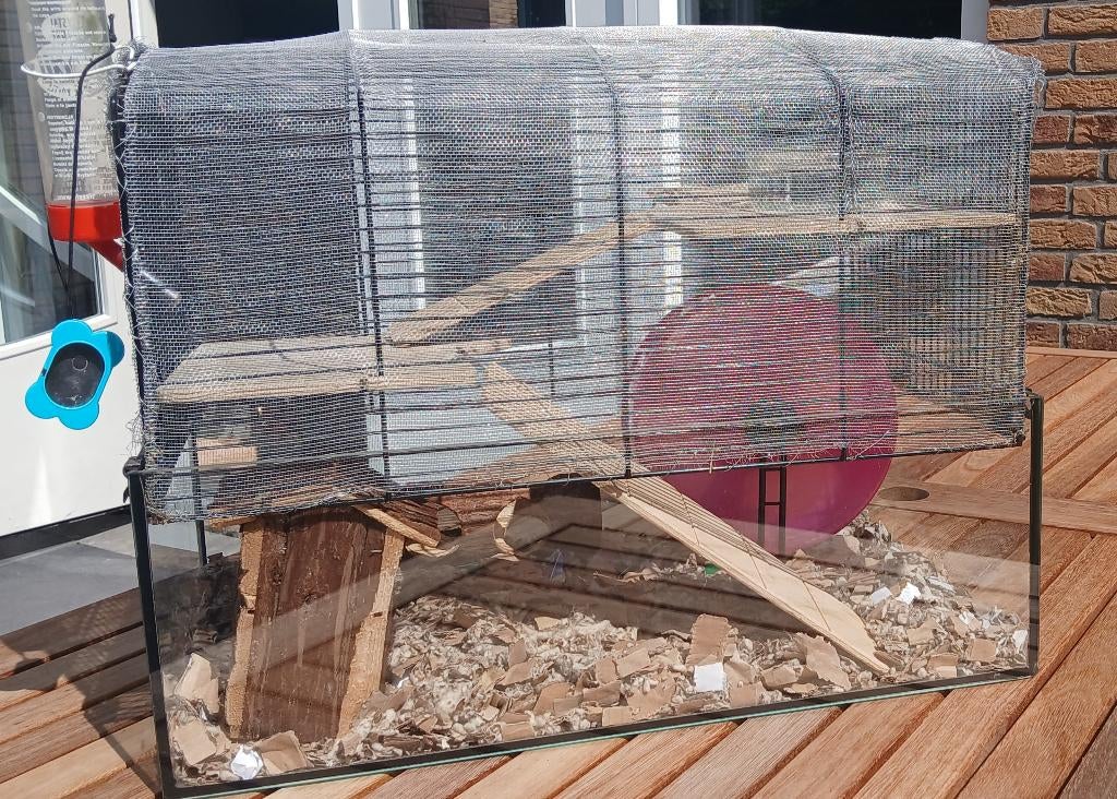 Mooi compleet dierenhok muizenhok knaagdierenhok, Kooi, Gebruikt, Muis, Minder dan 75 cm