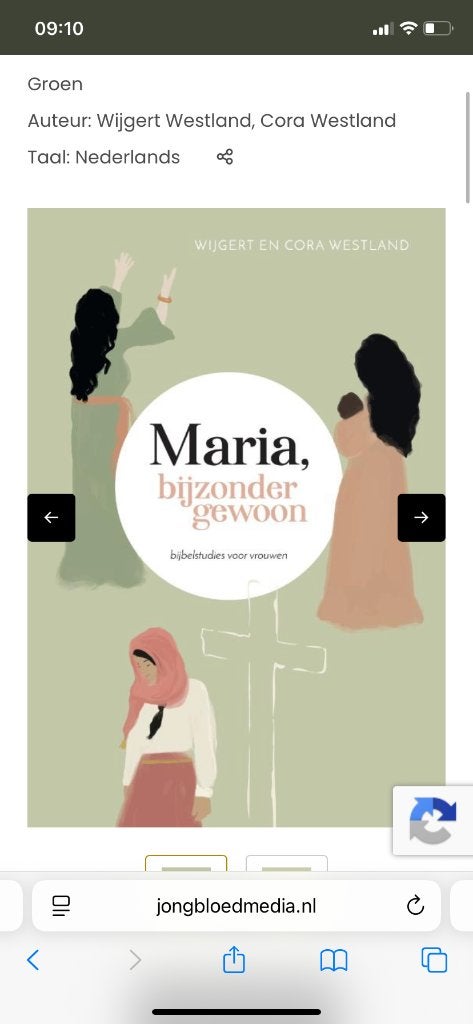 Maria bijzonder gewoon, Ophalen of Verzenden, Zo goed als nieuw, Christendom | Protestants