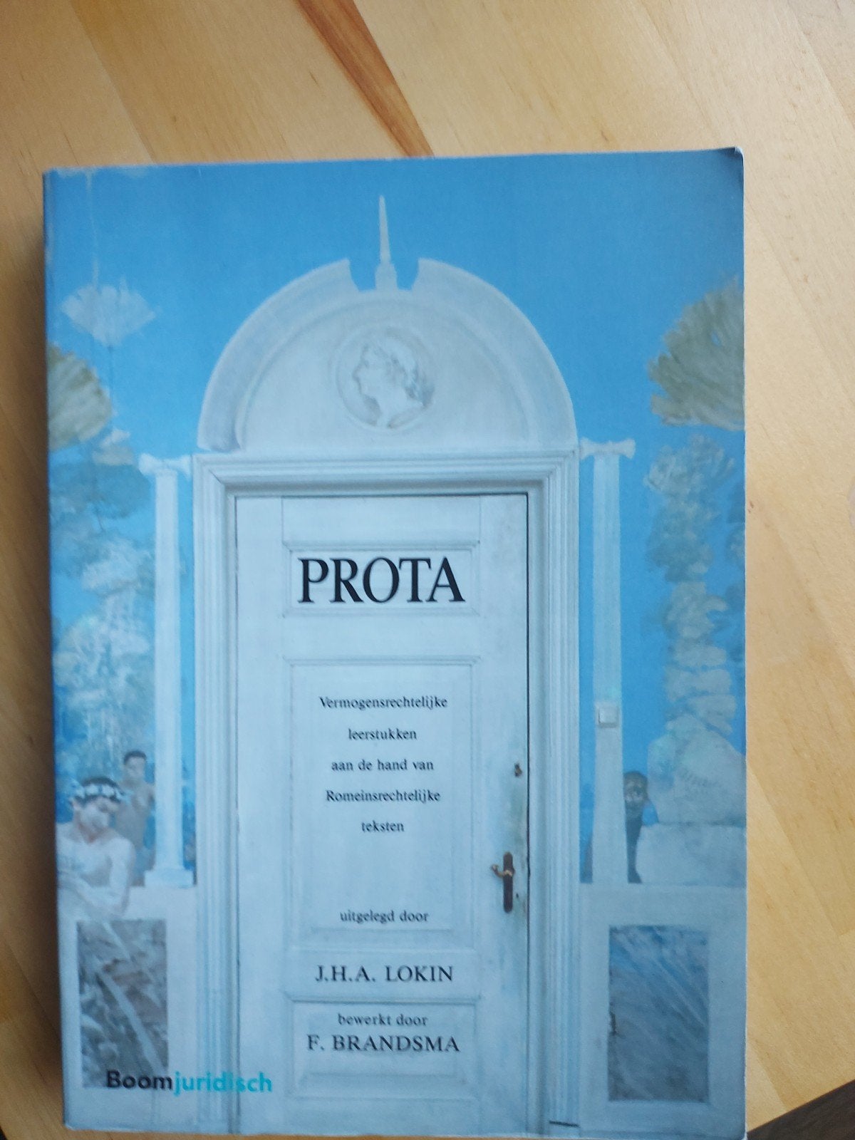 J.H.A. Lokin - Prota, Boeken, Ophalen of Verzenden, Gelezen, J.H.A. Lokin; F. Brandsma