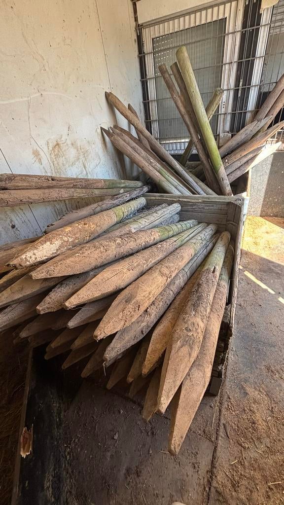 Houten palen voor afrastering of tuinprojecten, Tuin en Terras, Palen, Balken en Planken, Ophalen of Verzenden, Gebruikt, 180 tot 250 cm