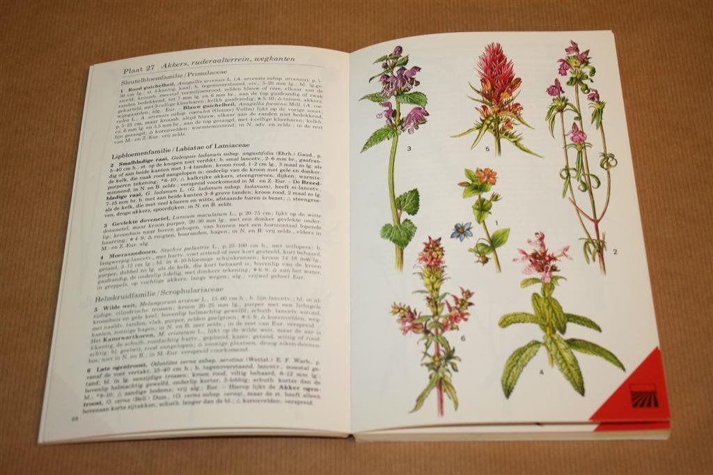 Plantengids in kleur - Thieme - T.H. Schauer, C. Caspari, Boeken, Natuur, Ophalen of Verzenden, Zo goed als nieuw, Bloemen, Planten en Bomen