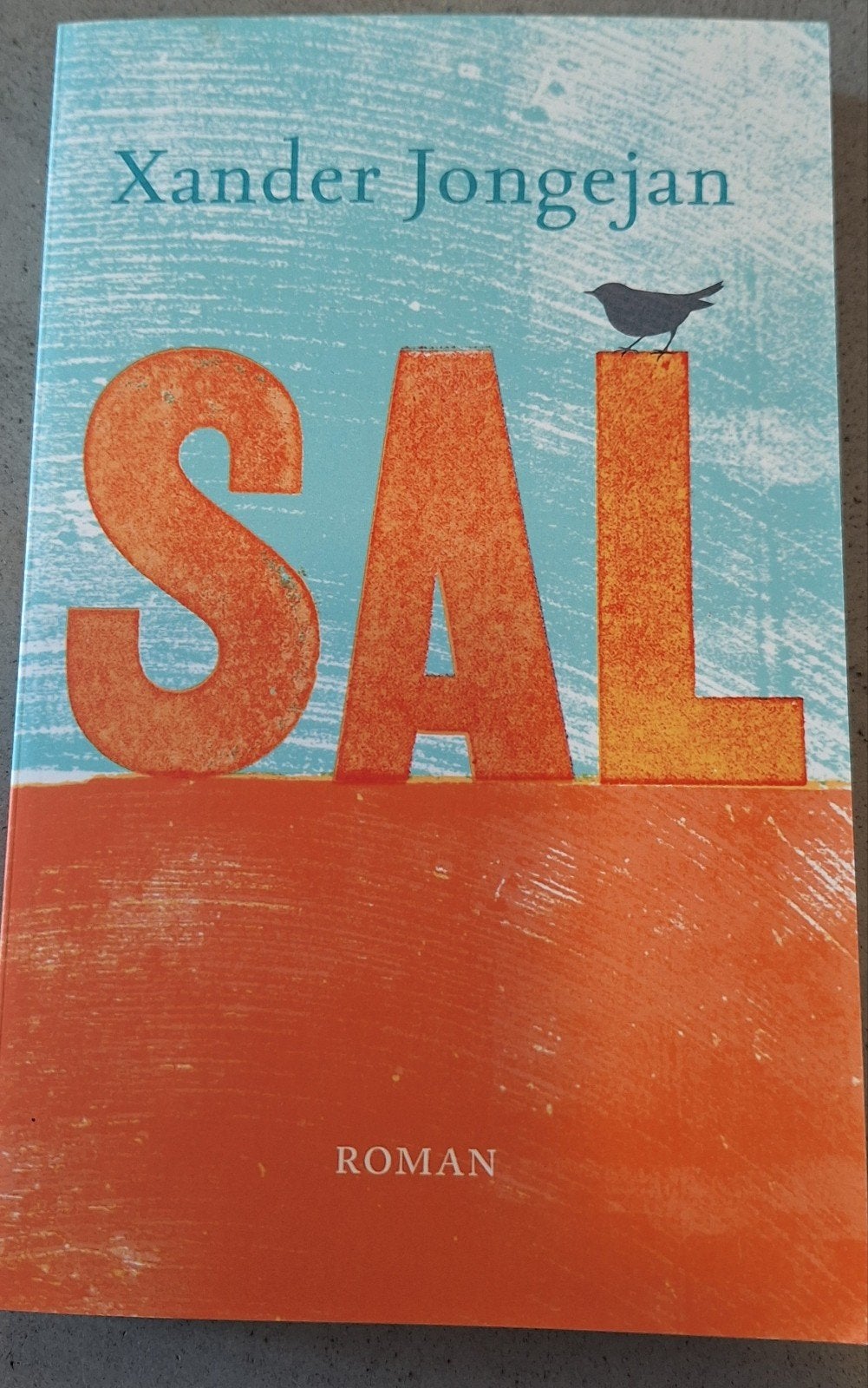 Xander Jongejan - Sal, Verzenden, Zo goed als nieuw, Xander Jongejan