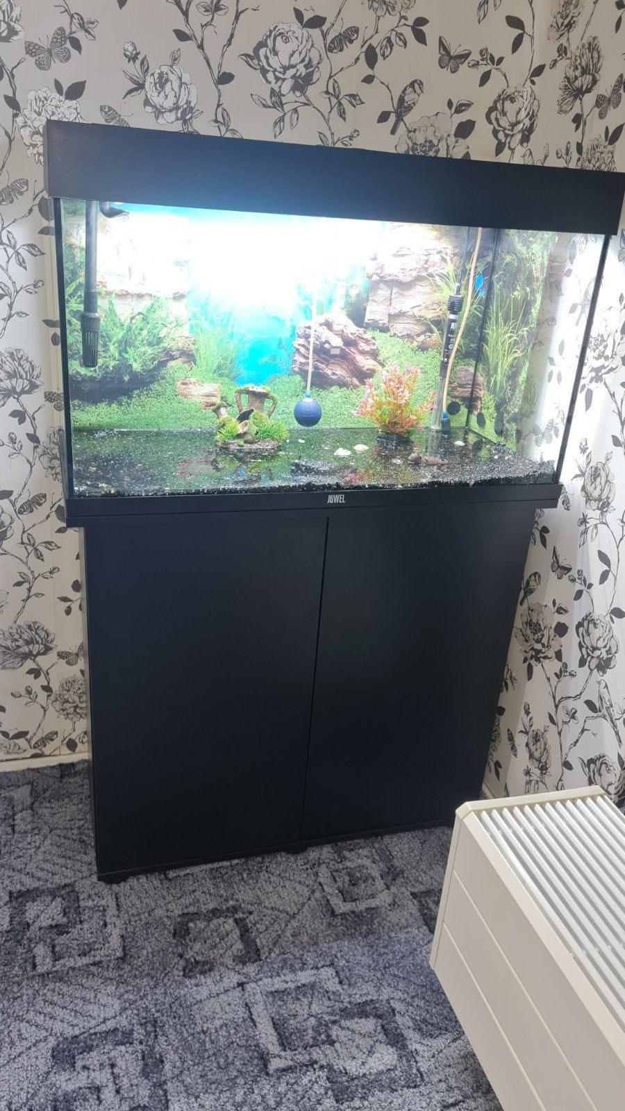 JUWEL aquarium met kast, Ophalen, Inclusief deksel, Overige typen, Juwel