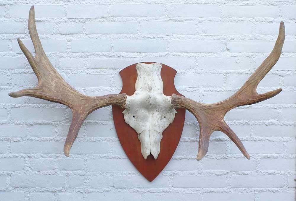 SCANDINAVISCH ELAND GEWEI OP HOUTEN SCHILD (ref. O)